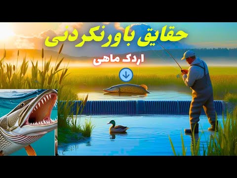 همه نکاتی که از اردک ماهی بایدبدونید از روشهای صید اردک ماهی با قلاب و غیره
