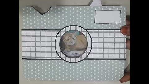 Iris shutter camera card #youtubeshorts #diy