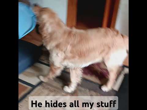Where is my