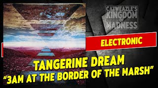 Tangerine Dream: &quot;3AM At The Border Of The Marsh From Okefenokee&quot; (1976)