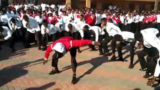 South African Traditional music Sepedi Kiba Dance. Bapedi Dinaka music