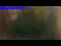 لحظات حزينة بين سيرين علي على أغنية تيري كاليا