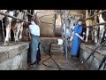 Milking in a 3unit milking parlour