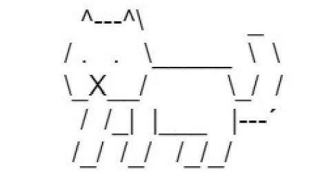 Ascii Art of a Cat!!