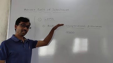 Molecular basis of inheritance || Lecture 1 || Griffith