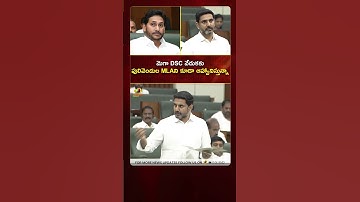 మెగా DSC వేడుకకు పులివెందుల MLAని కూడా ఆహ్వానిస్తున్నా: #NaraLokesh | #YTShorts | Mango News