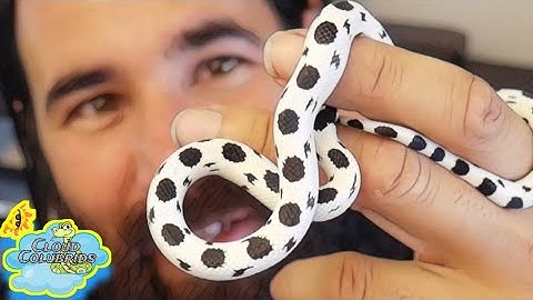 Snake Rack-DIY in PVC:Introducing the Snakes