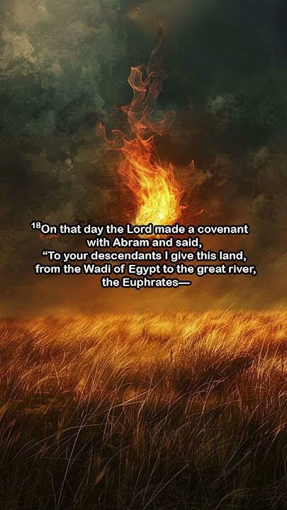 genesis-15-17-21-niv-bible-youtube