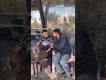 مضحك عروبي شرب ليه أتا أو كلى ليه السفنجة ديالو