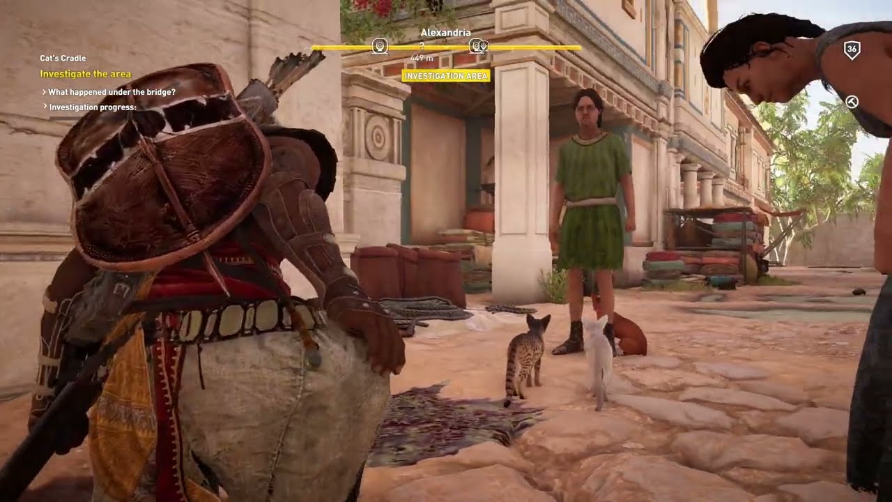 Investigate what happened under the bridge Cat's cradle Assassin's