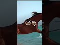 بعض البشر ودك حدد