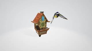 Celebrity Cuckoo Clock Wealth