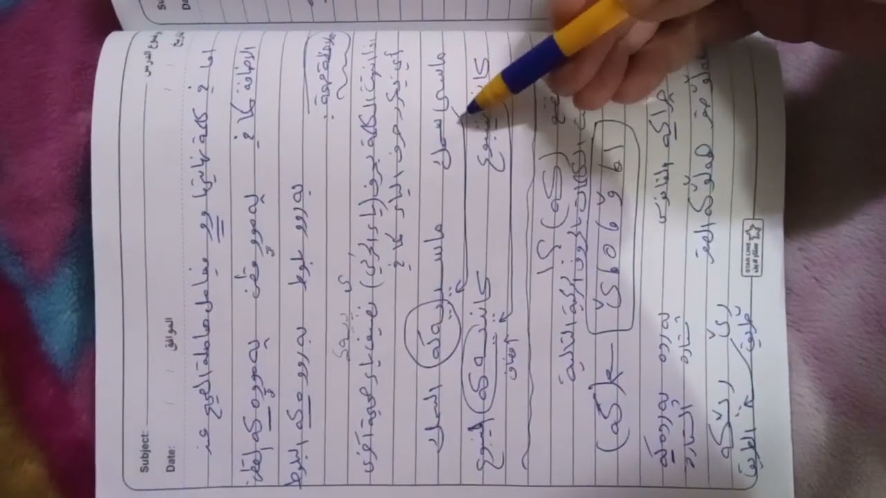 الاسم من حيث المعرفة/ الصف الخامس