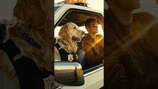 dog police are crazy 😯😯 #funny #pigeon101 #trendingshorts #music #ai #aiappdevelopment