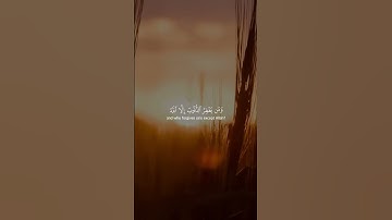 اكتب شيء تؤجر عليه | سورة آل عمران الآية 135 القارئ علي جابر