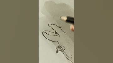 Day 1 of Drawing Dinos (Acrocanthosaurus)