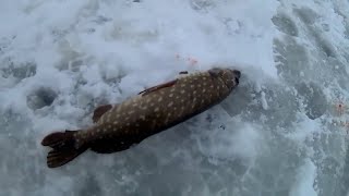 167 Зимние Щуки На Жерлицы  Обзор Наших Прежних Рыбалок// Volga Fishing Pike