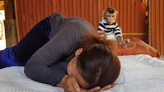 Obedient Monkey Koko | What Mom Playing Fun With Angel Koko Before Nap?