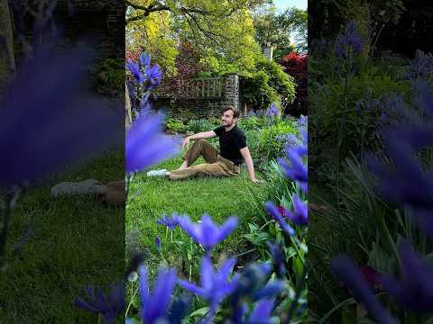 Creative spring photo
