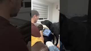 You’re late! #memes #viral #funny #dog #cute #late