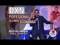 Los profesionales de la nueva economía - Julio Villanueva