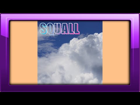 SQUALL (カラオケ)