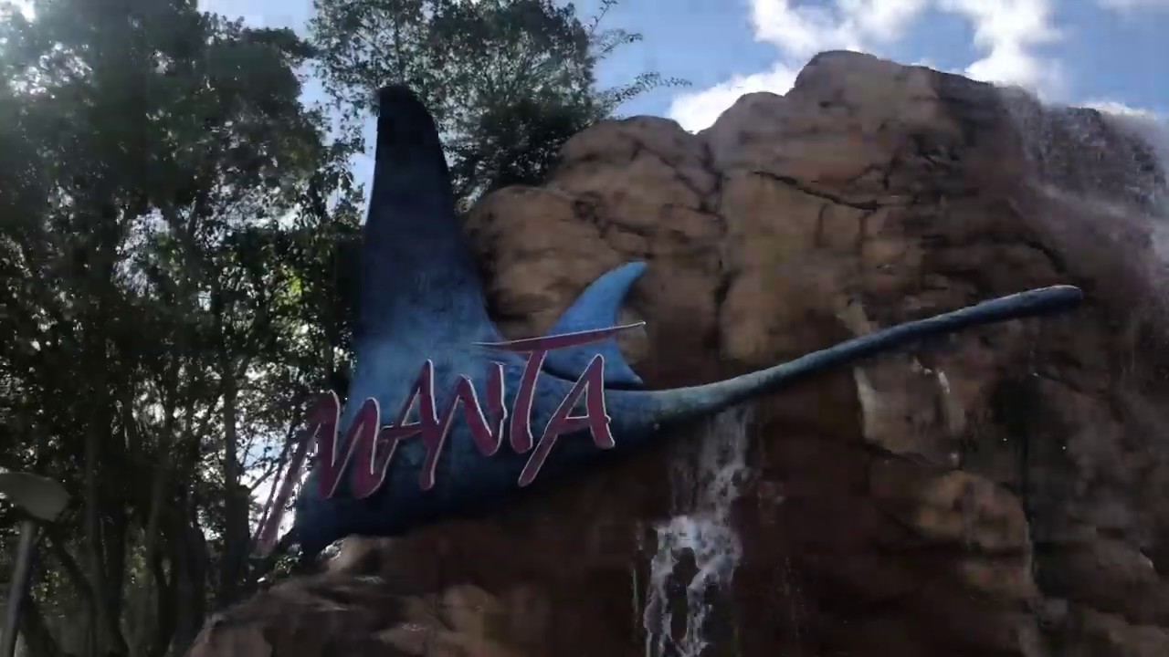 manta seaworld orlanfa pov manta seaworld orlanfa pov