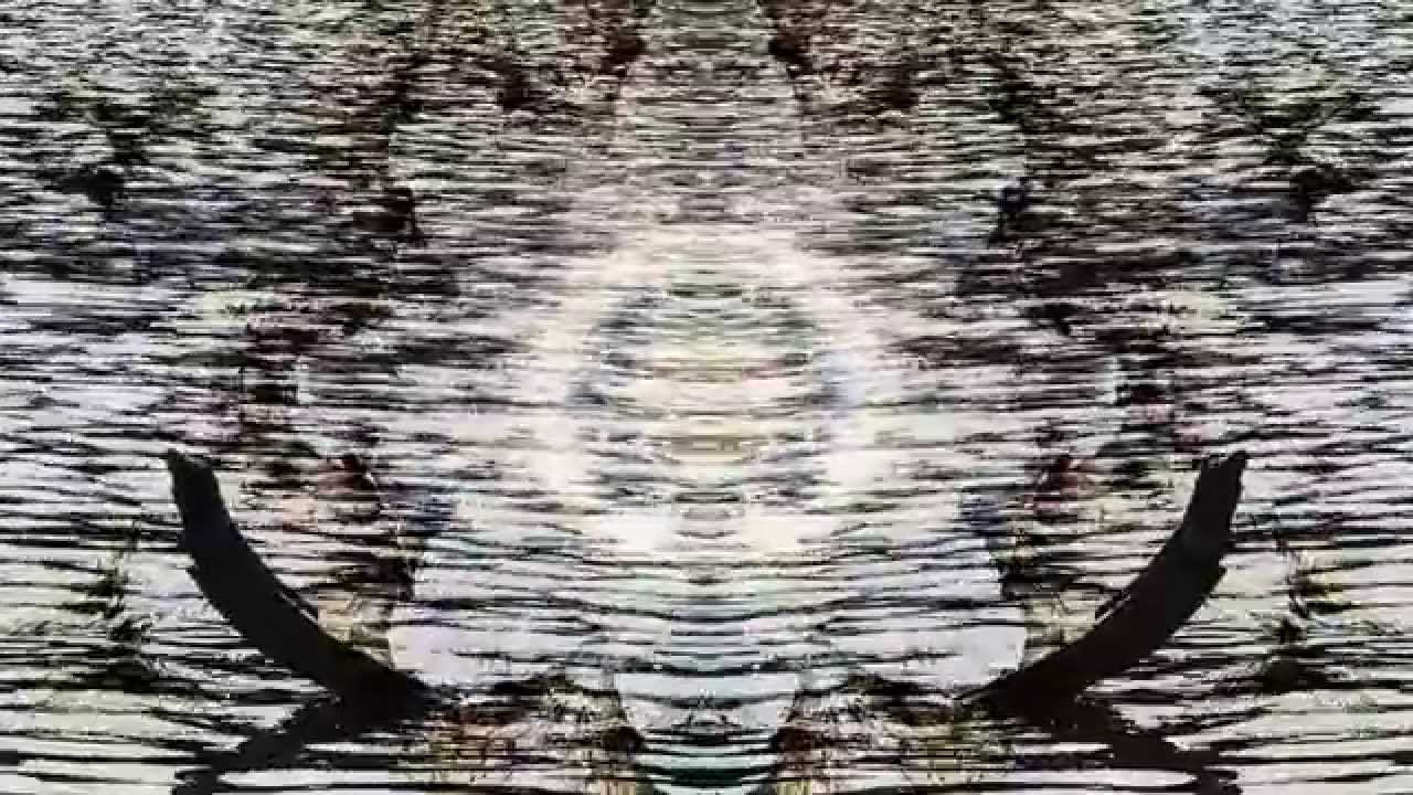 Ver Angelo Luna (saeculo antiquis) - The forrest of end hill no YouTube Ver Angelo Luna (saeculo antiquis) - The forrest of end hill no YouTube