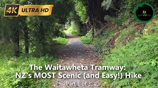 The Waitawheta Tramway: Walk NZ's MOST Scenic (and Easy!) Hike, #naturewalk #forestsounds #asmr