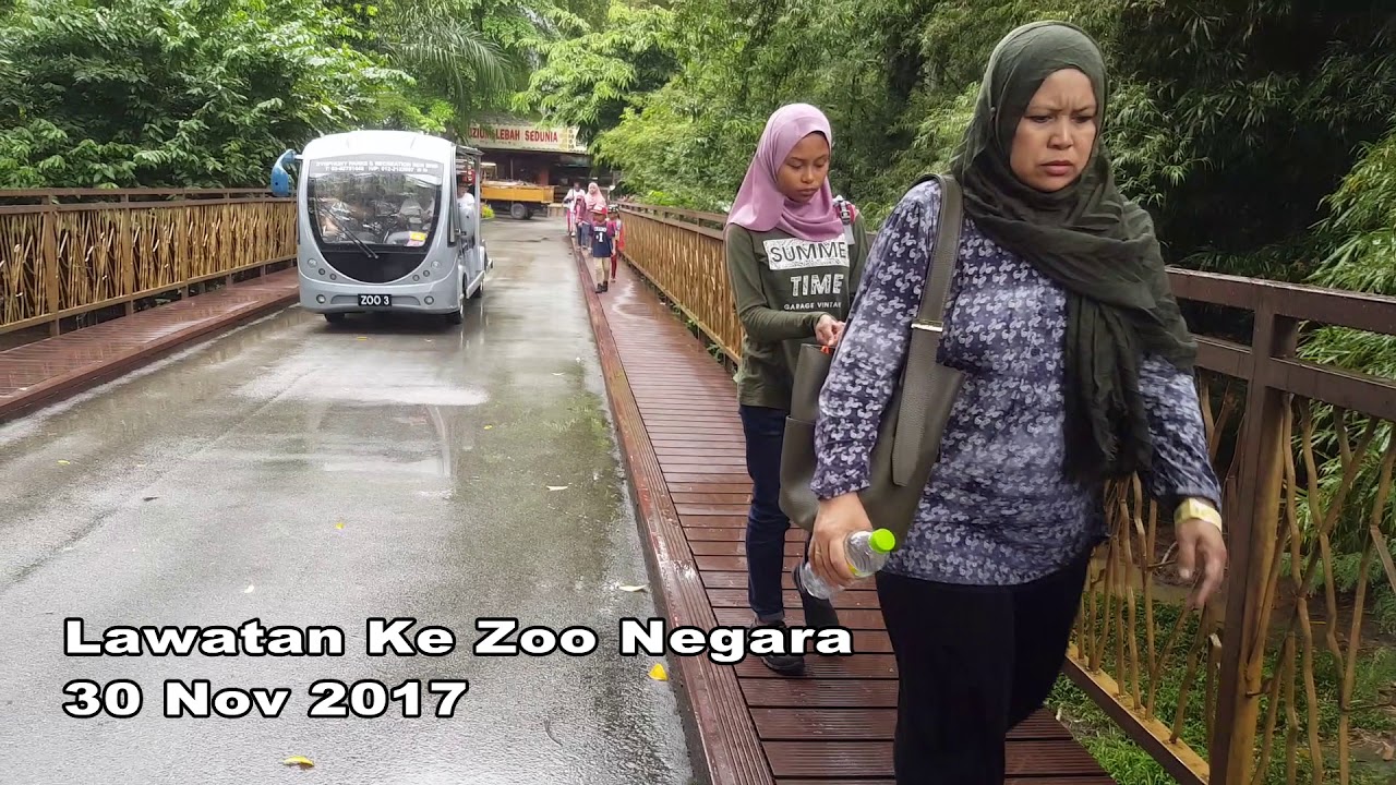 Lawatan ke Zoo Negara bersama Cucu Harris Hafiz - YouTube