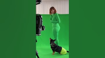 Film It Yourself brings Bub the Ghost Dog to live-action in a behind-the-green-screen peek #shorts
