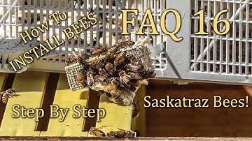 How To Install a Package of Honey Bees, Setting up your first hive step by step.