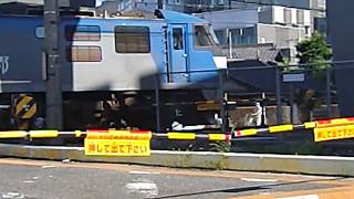 [踏切] EF210貨物列車+115系