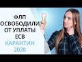 Карантин 2020: ФЛП освободили от уплаты ЕСВ на два месяца. Важно знать бухгалтеру