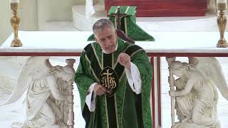 Download Lagu Father Mark Beard's Homily - \ MP3