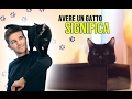 AVERE UN GATTO SIGNIFICA