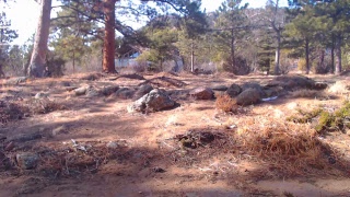 Estes Park Web Cam - The Heart House