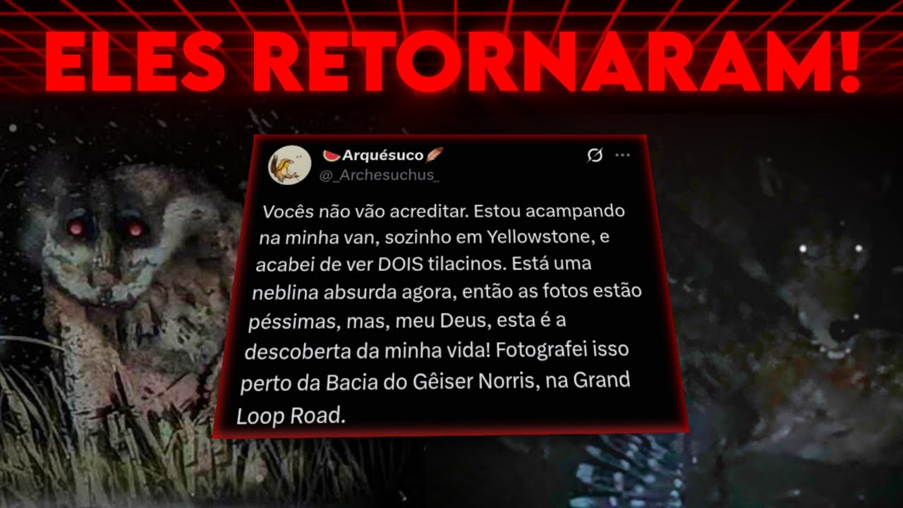 Weird Birds 3 - O Retorno dos Pássaros Estranhos... | 