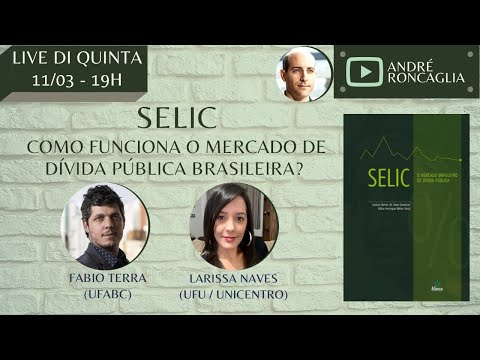 SELIC: como funciona o mercado de dívida pública brasileira?