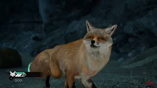 Spirit of the North 2 Fox Story PS5 Gameplay