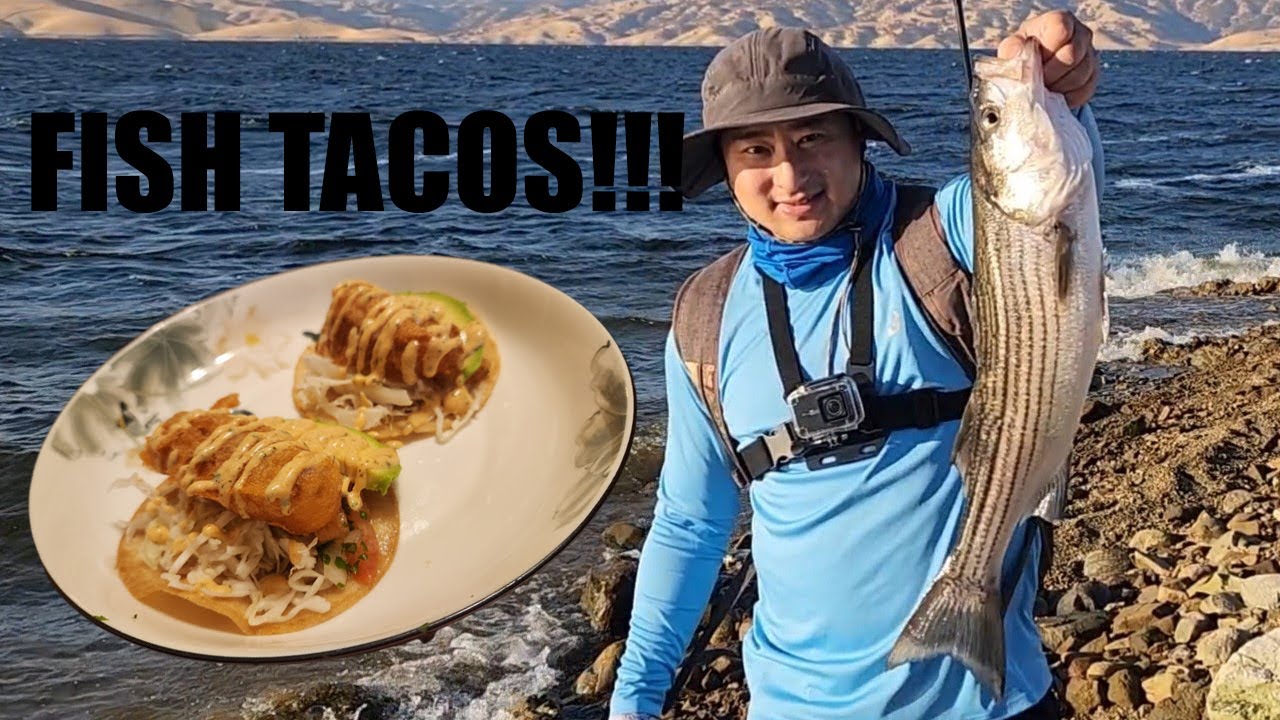 SLR Striper Action and Fish Tacos YouTube