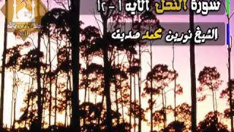 سورة النحل الاية 12/1 الشيخ نورين محمد صديق