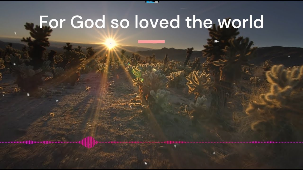 For God so loved the world - The Scripture