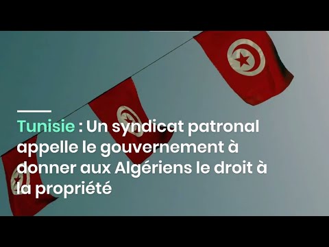 Tunisie :Un syndicat patronal appelle le gouvernement à donner aux Algériens le droit à la propriété