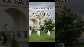 Kopmaca                     tr trendler  trendingvideo viral ternding yks yks2023 yks2022