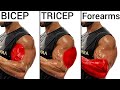 Top 5 bicep workout tricep workout and forearm workout to build big arm  biceps y triceps