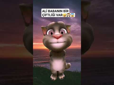 Tom ali babanın