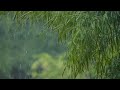 RAINY. AMBIENCE FOR SWEET SLEEP