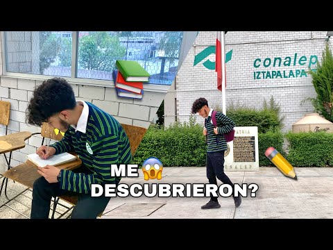 ¿Ser Estudiante Cuenta Como Empleo?