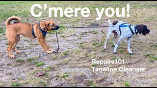 C'mere you !  **  13 second Timeline Cleanser by Repairs101 589 views 2 years ago 14 seconds